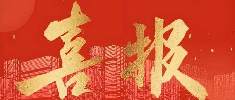 数智浪潮中的 “星” 力量!星汉信息入选 2025 年领军型浙江数商缩略图